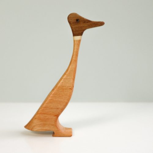 Indian running duck drake (boy)