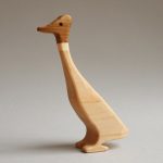 Indian running duck drake (boy)