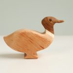 Wild duck drake (boy)