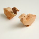 Wild duck drake (boy)