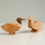 Wild duck drake (boy)