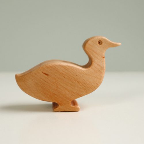 Wild duck hen (girl)